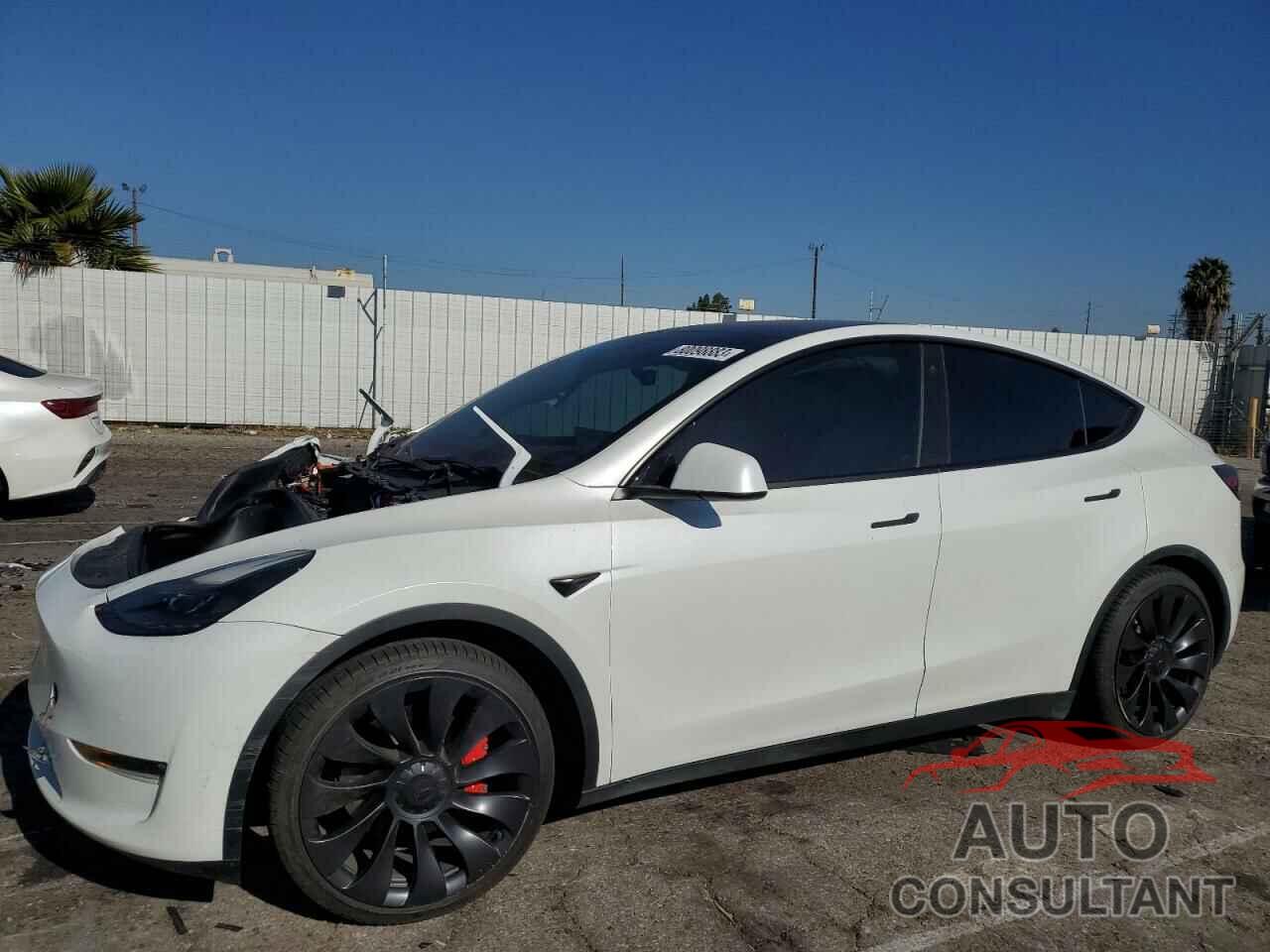 TESLA MODEL Y 2022 - 7SAYGDEF4NF552082