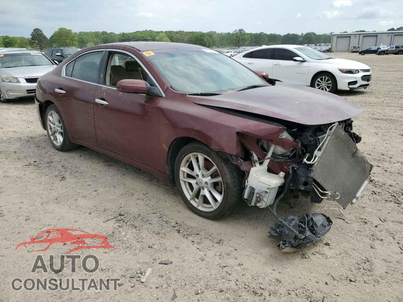 NISSAN MAXIMA 2009 - 1N4AA51E19C855459
