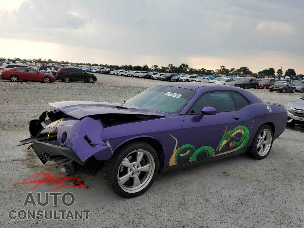 DODGE CHALLENGER 2013 - 2C3CDYBTXDH671592