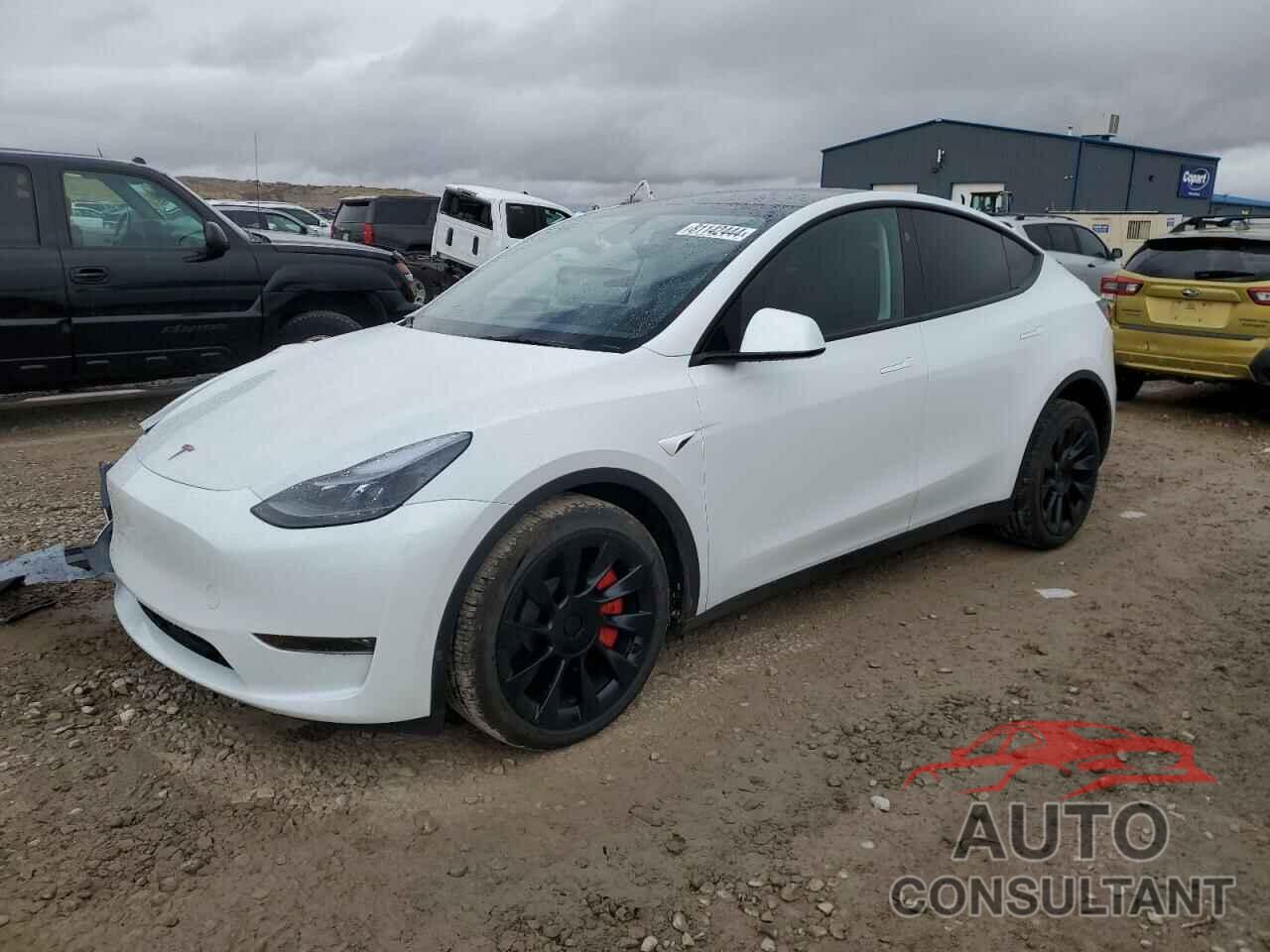 TESLA MODEL Y 2024 - 7SAYGAEE1RF061318