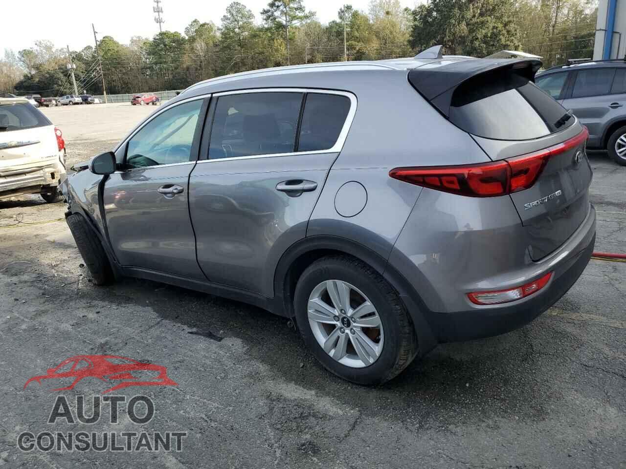 KIA SPORTAGE 2019 - KNDPM3AC7K7558838