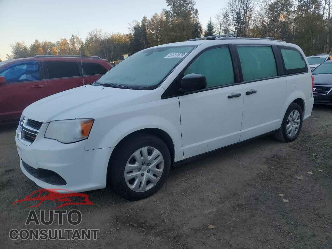 DODGE CARAVAN 2019 - 2C4RDGBG7KR806747