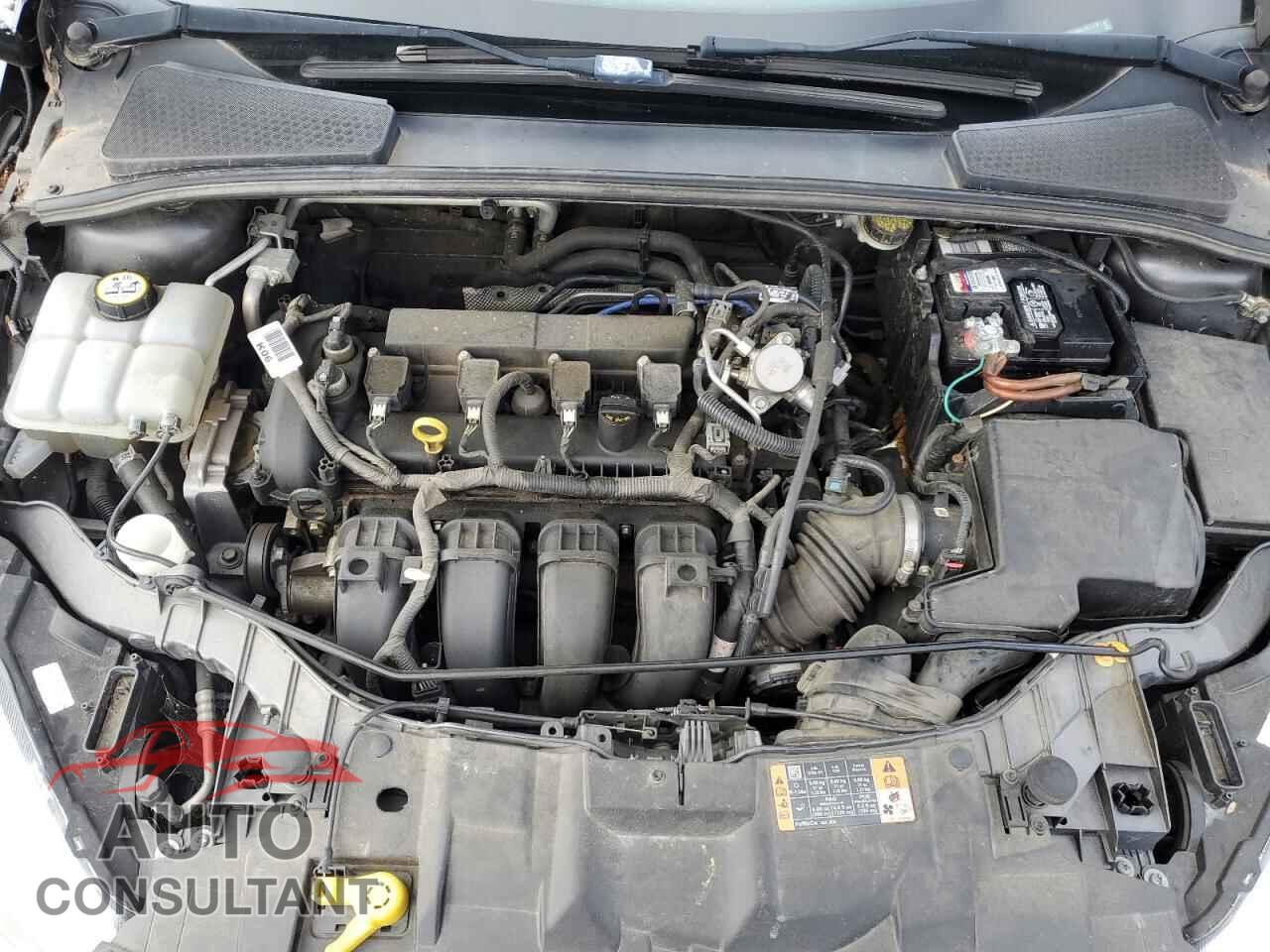 FORD FOCUS 2016 - 1FADP3F20GL367776