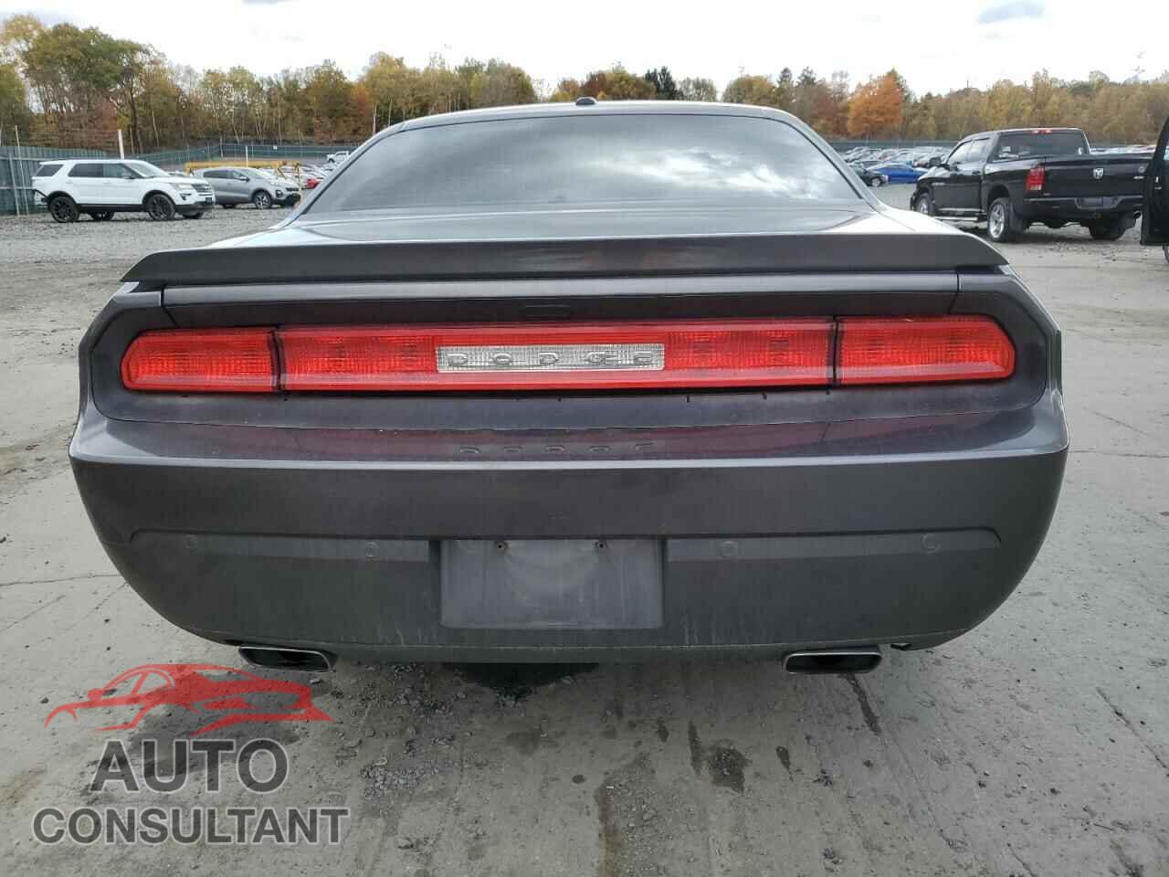 DODGE CHALLENGER 2014 - 2C3CDYAG7EH195727