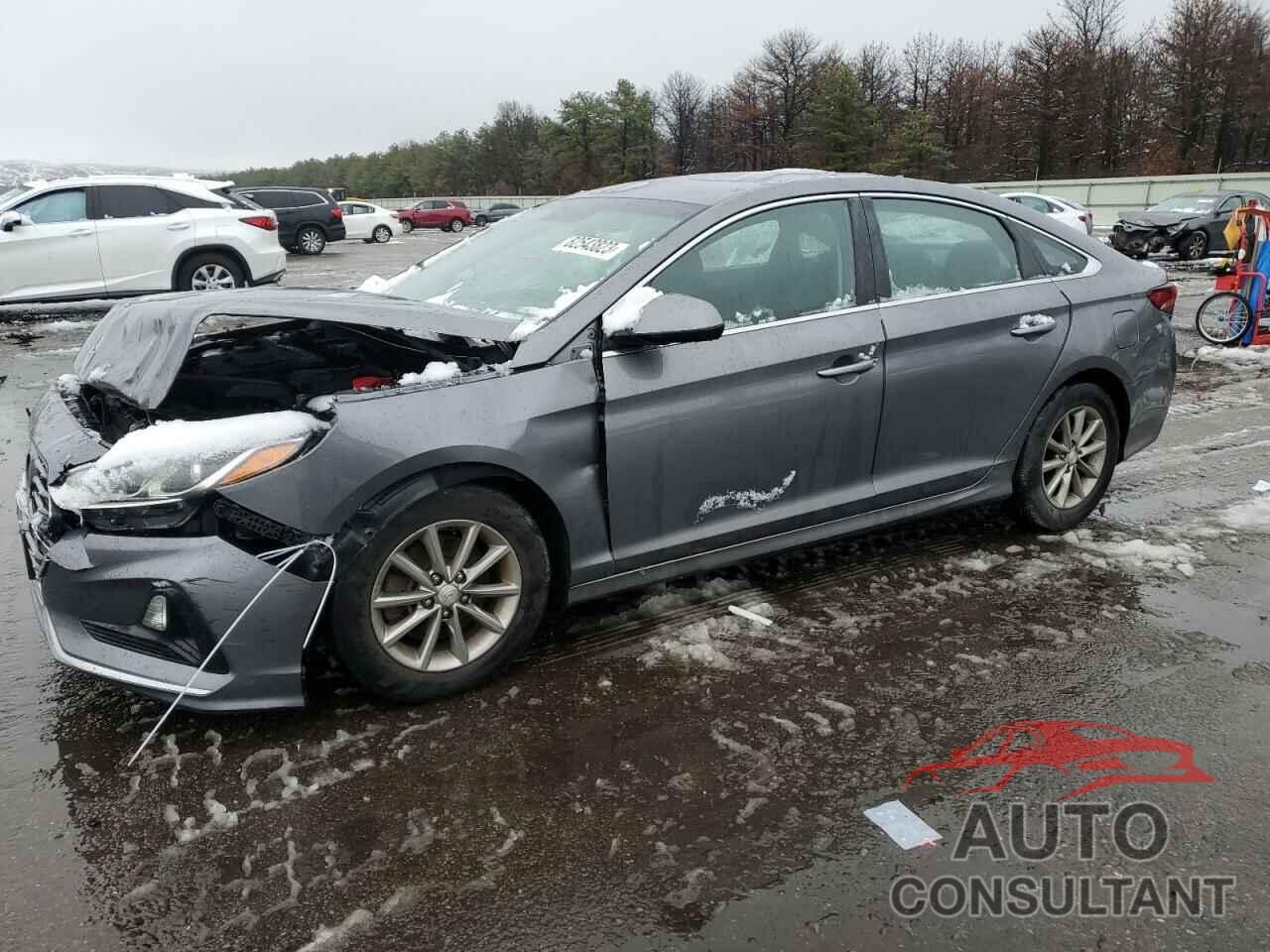 HYUNDAI SONATA 2019 - 5NPE24AF2KH739080