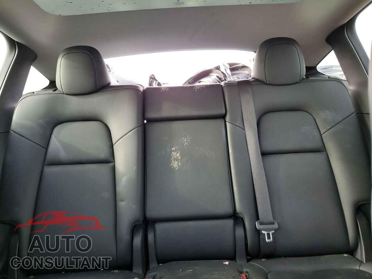 TESLA MODEL Y 2024 - 7SAYGAEE0RF023725
