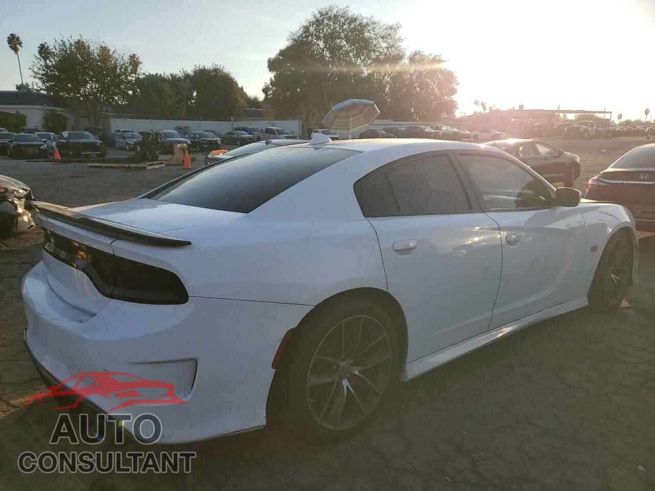 DODGE CHARGER 2019 - 2C3CDXGJ5KH647036