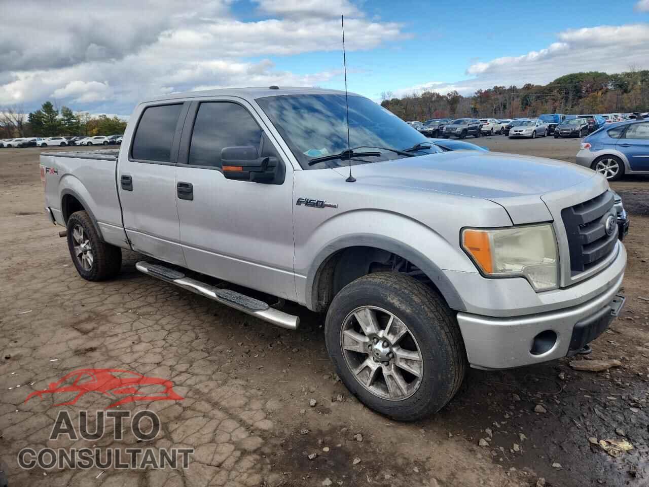 FORD F150 2010 - 1FTFW1EV2AFB03695
