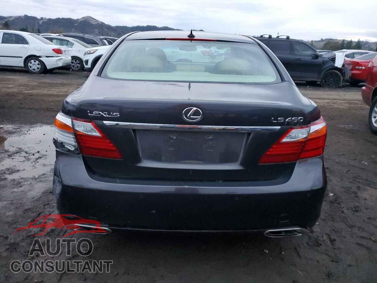 LEXUS LS460 2010 - JTHBL5EF6A5096102
