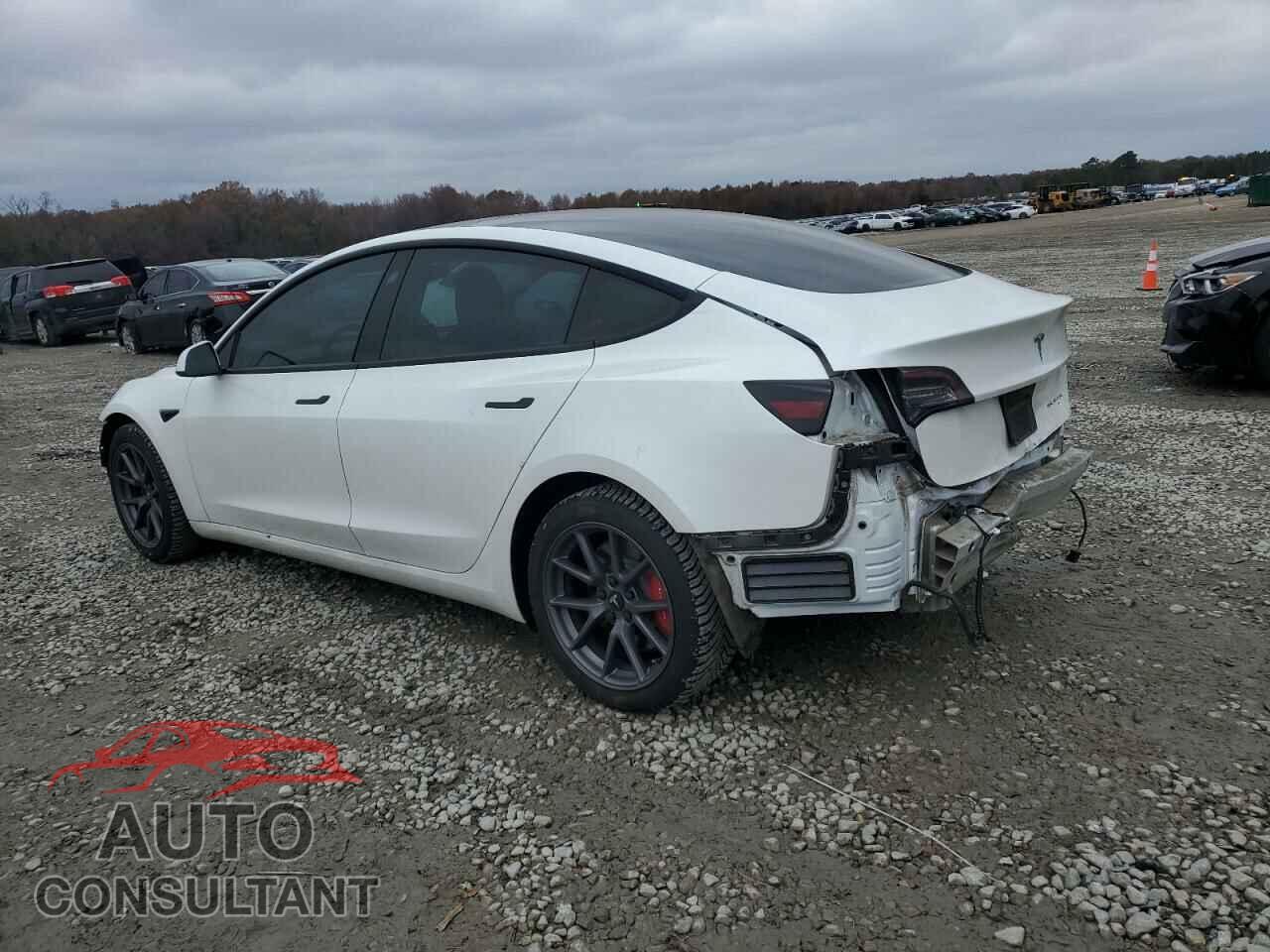 TESLA MODEL 3 2022 - 5YJ3E1EB2NF246491