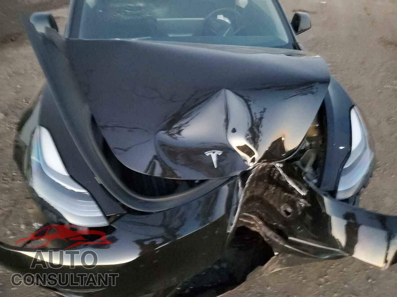 TESLA MODEL 3 2022 - 5YJ3E1EB7NF174381