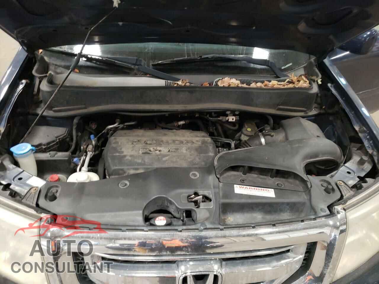 HONDA PILOT 2009 - 5FNYF48559B044163