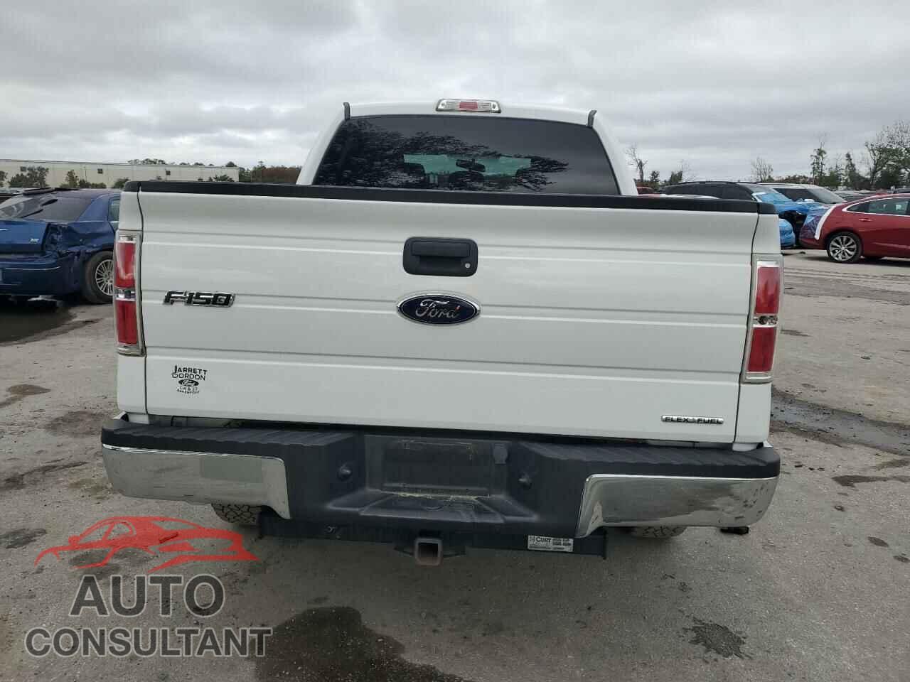 FORD F-150 2013 - 1FTFW1EF5DFD53204