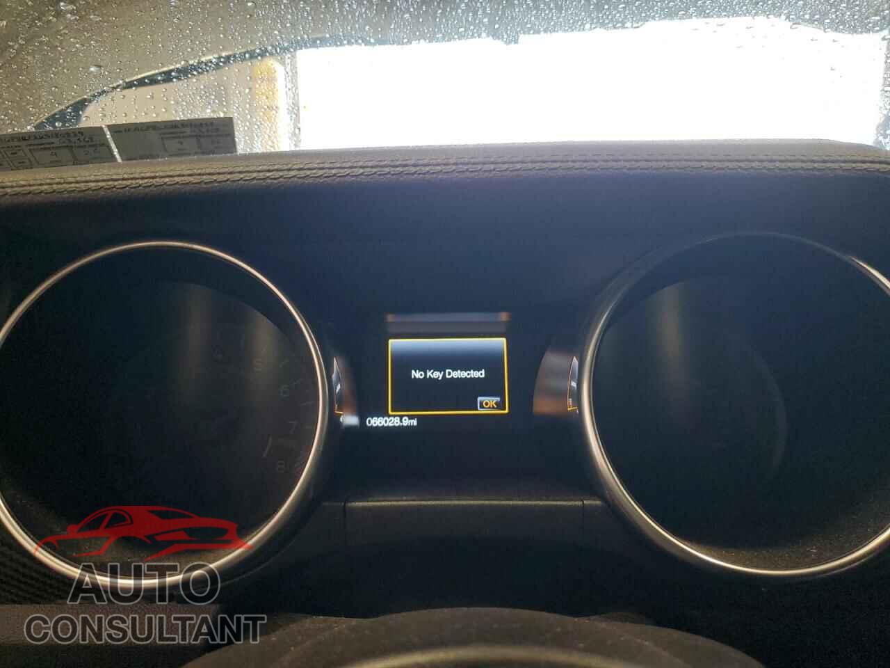 FORD MUSTANG 2019 - 1FA6P8CF2K5180839