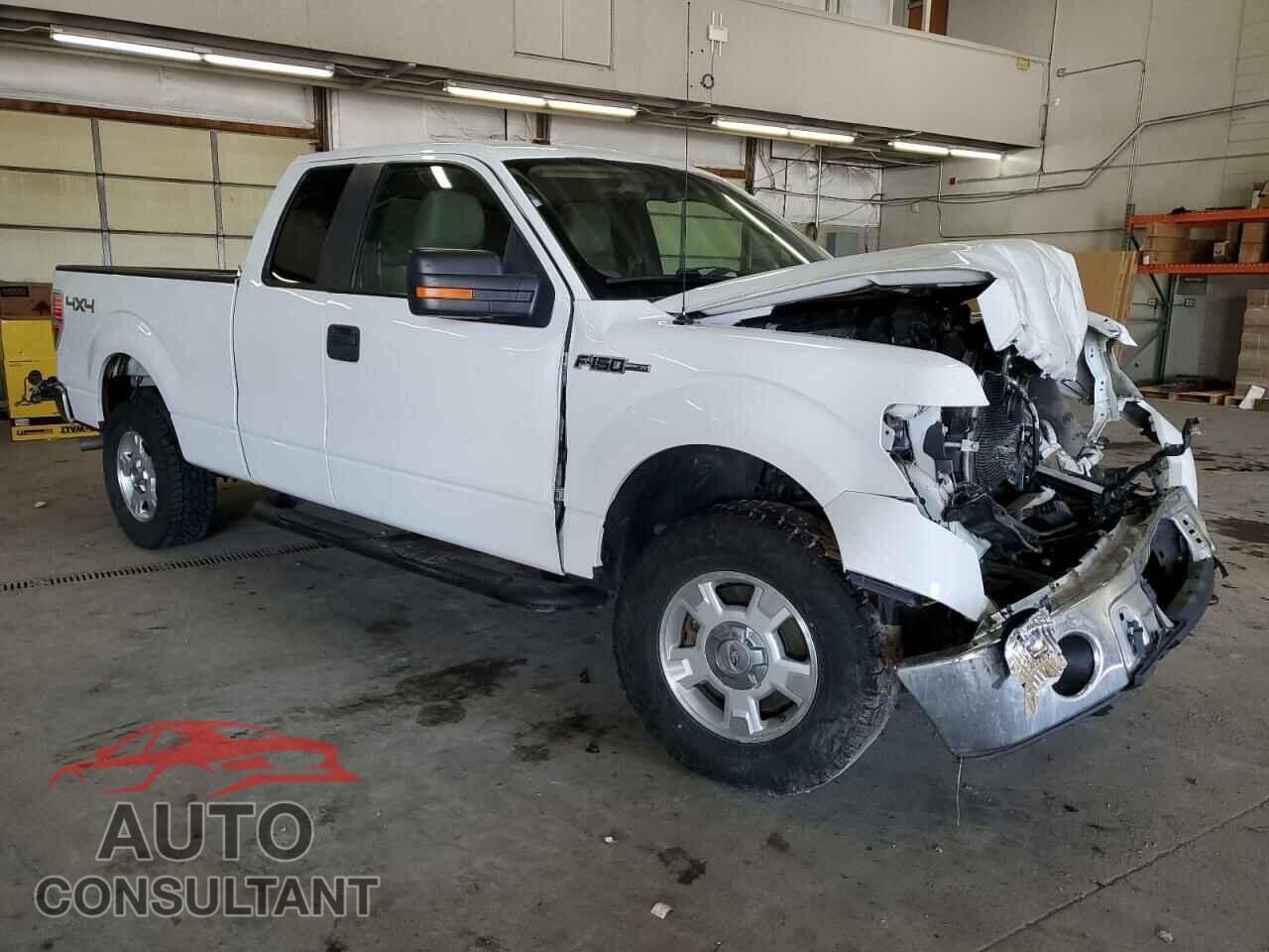 FORD F-150 2011 - 1FTFX1EF8BFA27391