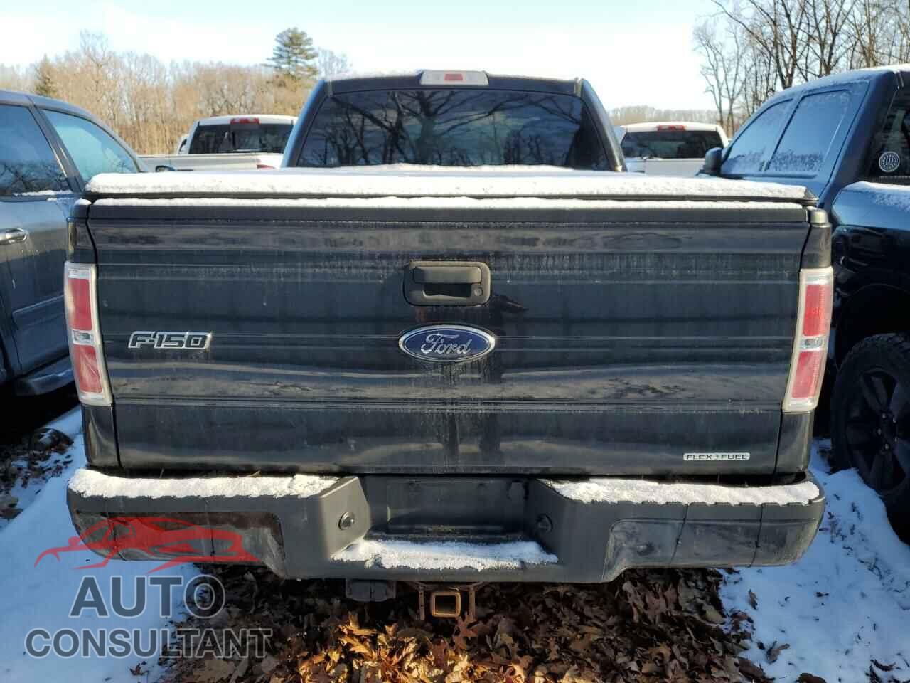 FORD F-150 2013 - 1FTFX1EF2DFC61013
