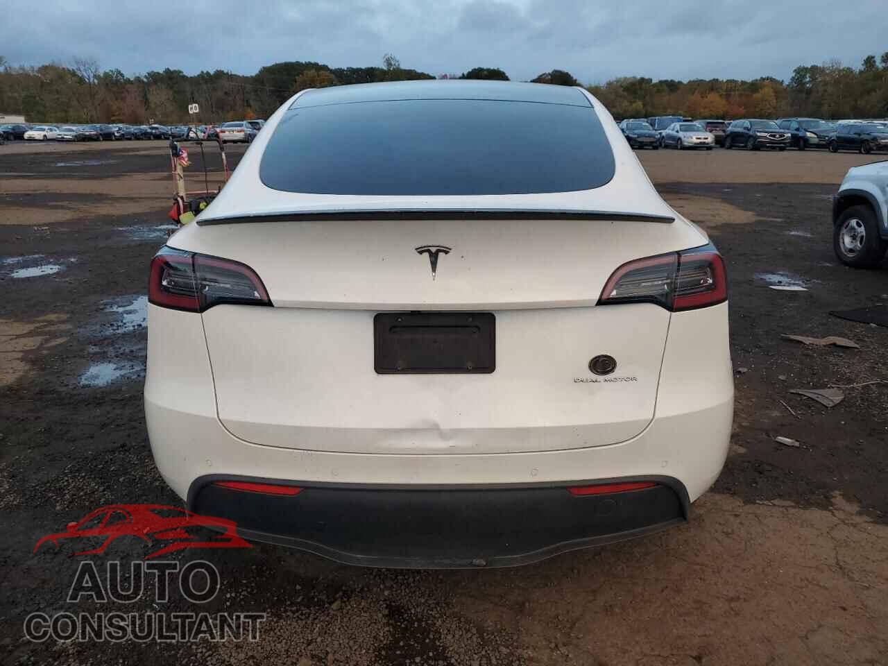 TESLA MODEL Y 2020 - 5YJYGDEE7LF024862