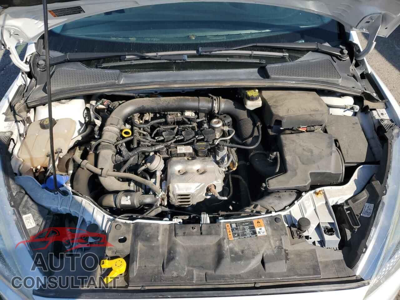 FORD FOCUS 2017 - 1FADP3FEXHL219923