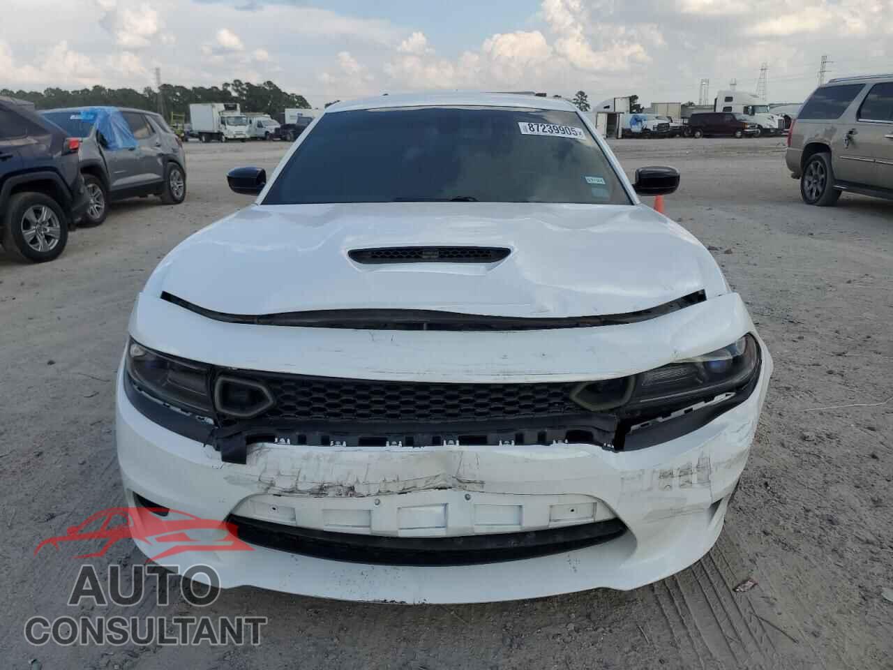 DODGE CHARGER 2019 - 2C3CDXCTXKH718349