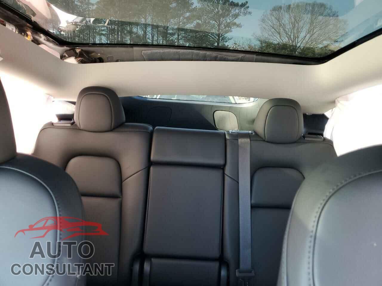 TESLA MODEL Y 2024 - 7SAYGDED9RF162633