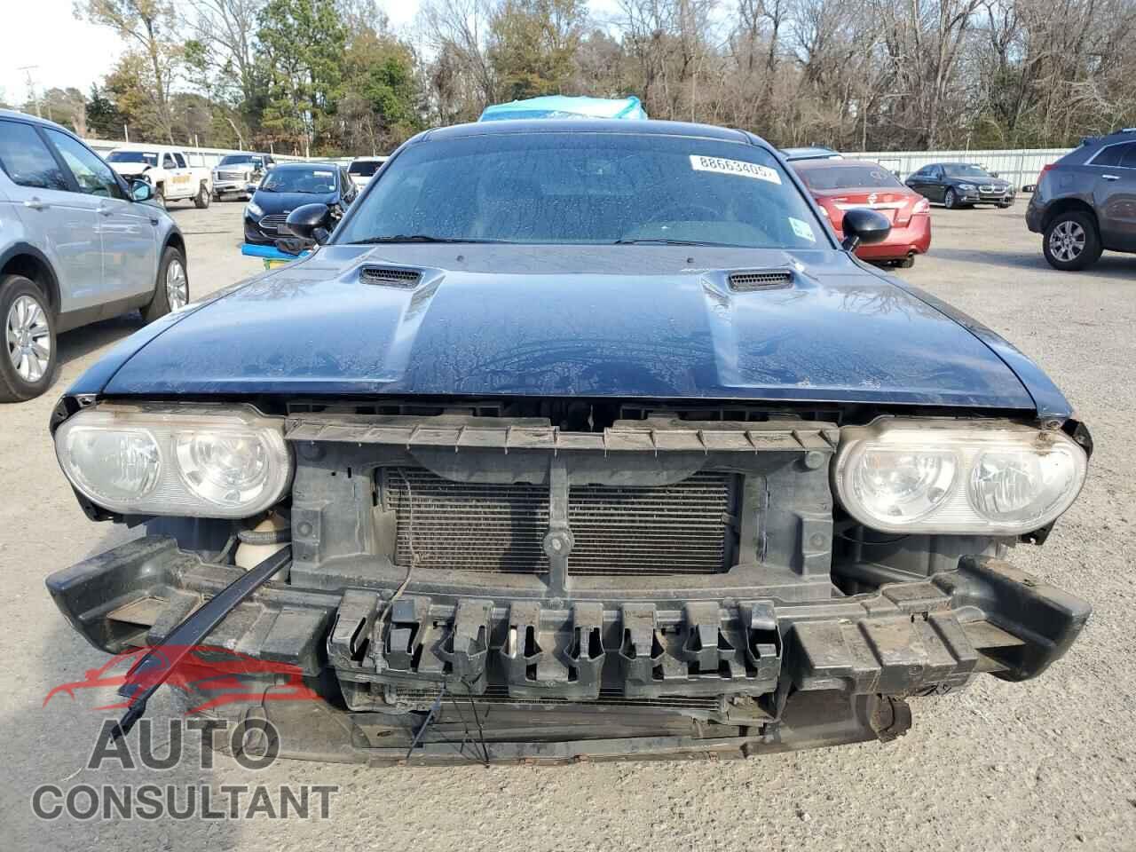 DODGE CHALLENGER 2009 - 2B3LJ54TX9H520339