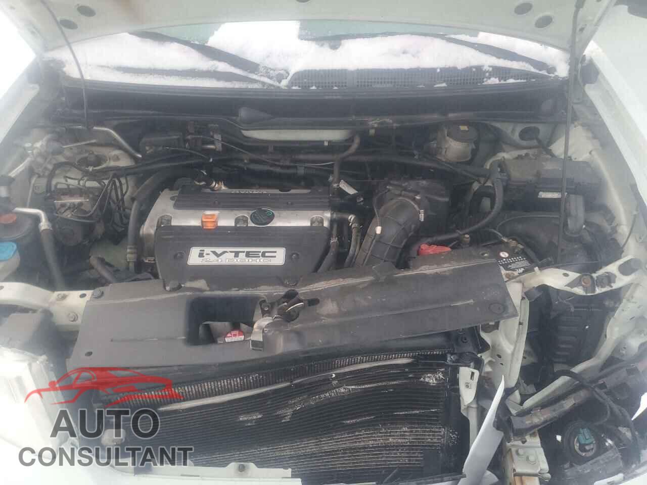 HONDA ELEMENT 2010 - 5J6YH2H7XAL006455