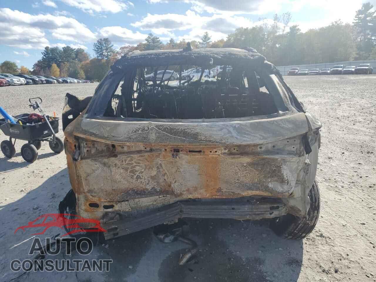 LEXUS RX 350H BA 2024 - 2T2BBMCA4RC041065