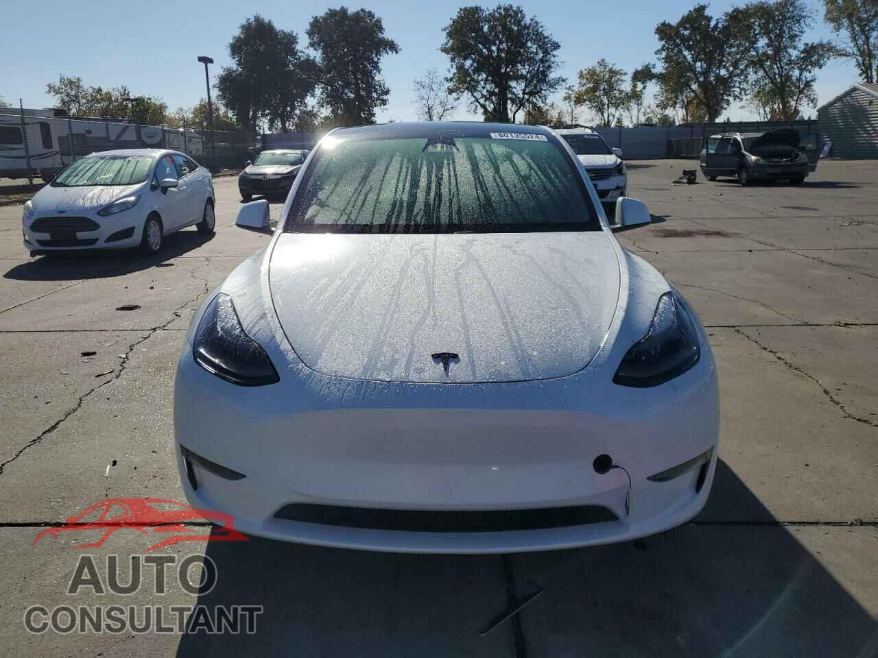 TESLA MODEL Y 2023 - 7SAYGDEE6PF697828