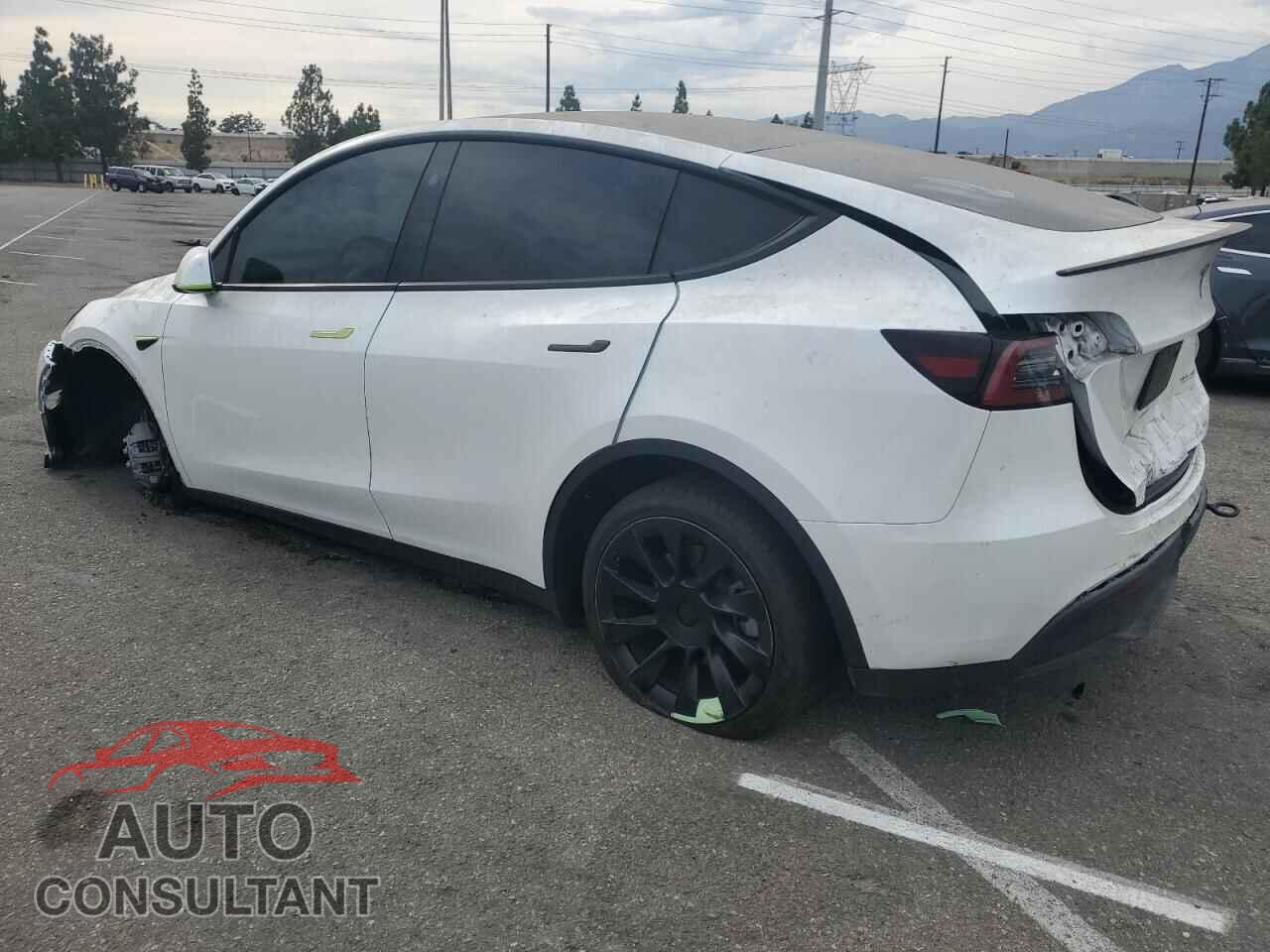 TESLA MODEL Y 2025 - 7SAYGDEE8SF218902