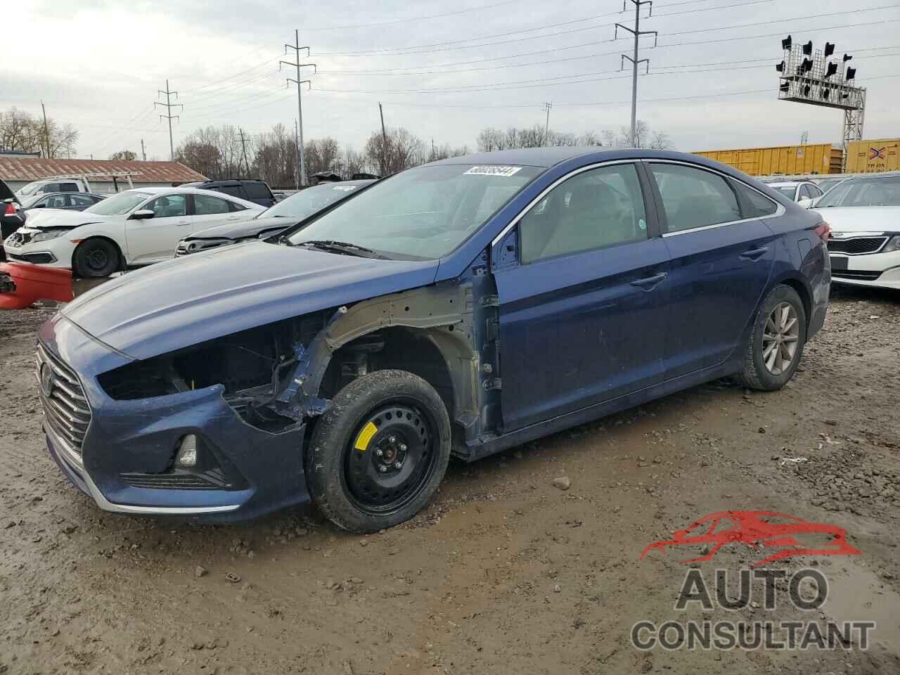 HYUNDAI SONATA 2019 - 5NPE24AF1KH755772