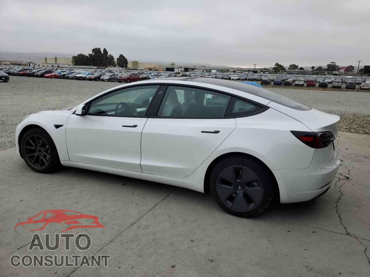 TESLA MODEL 3 2021 - 5YJ3E1EA1MF070295