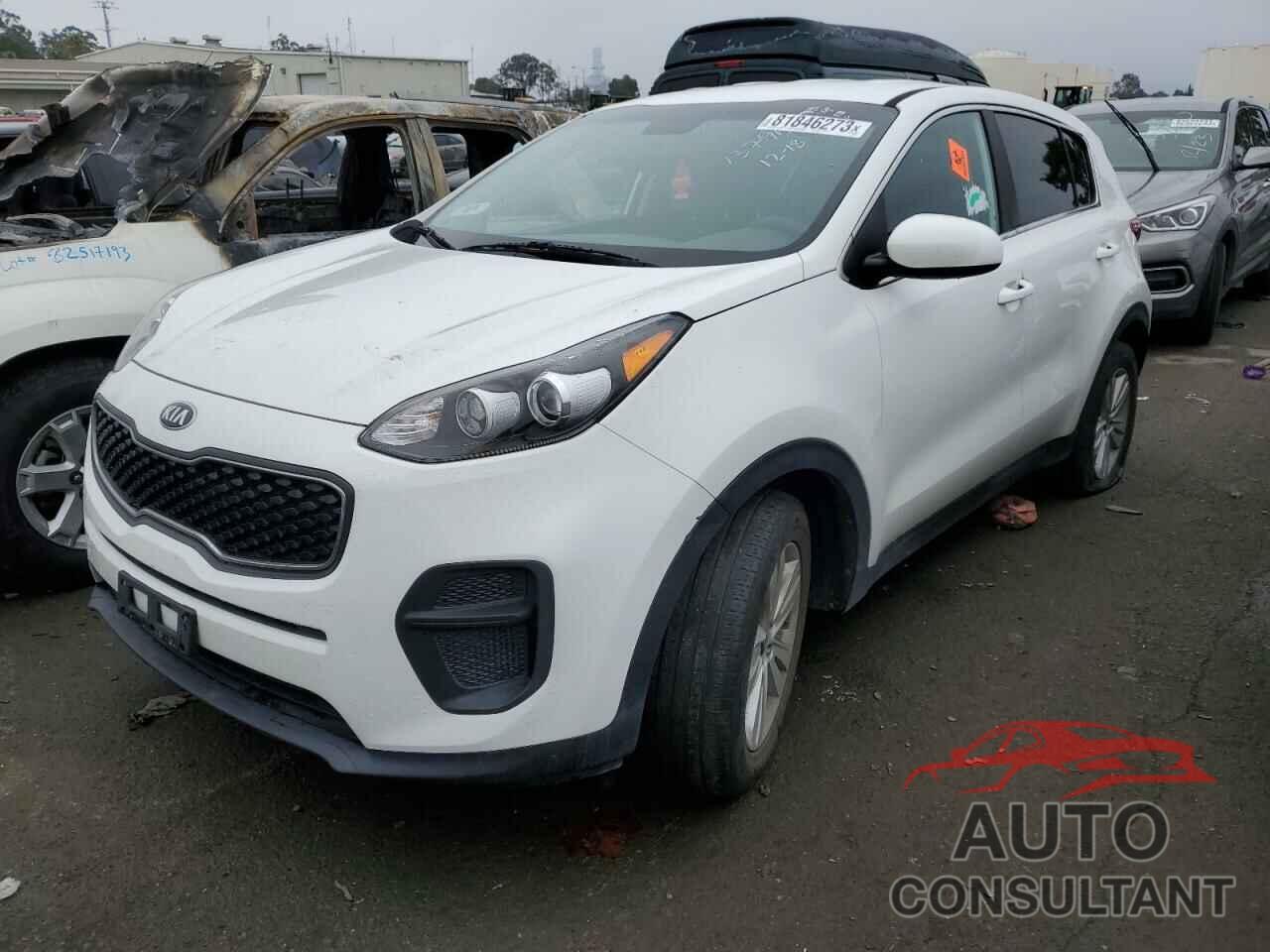 KIA SPORTAGE 2019 - KNDPM3AC1K7580804