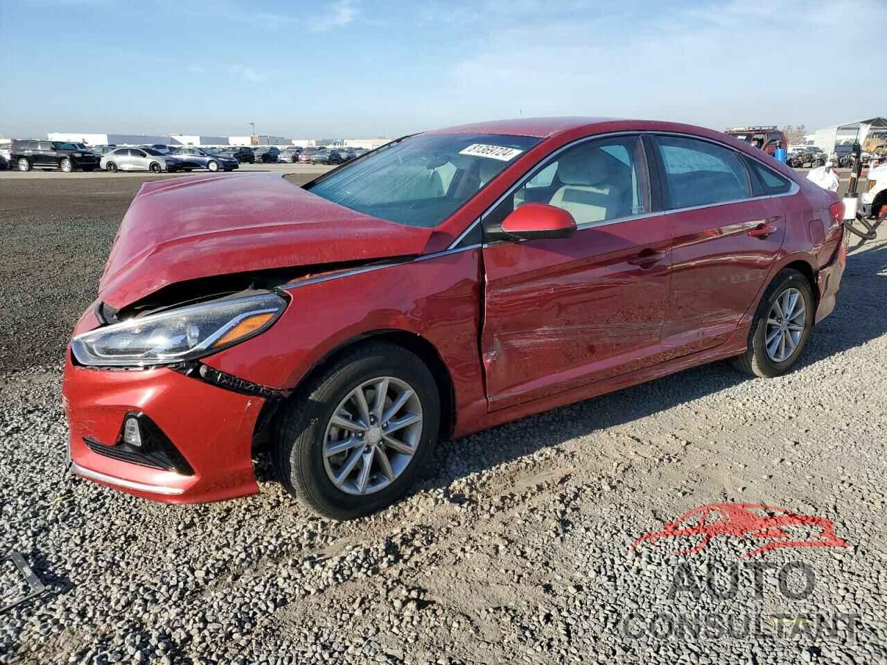 HYUNDAI SONATA 2019 - 5NPE24AF2KH818975
