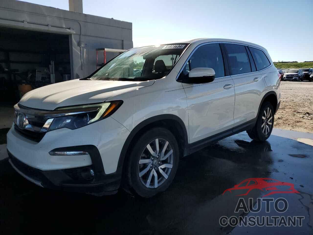 HONDA PILOT 2019 - 5FNYF5H53KB036669