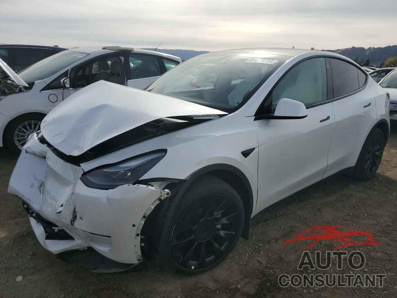 TESLA MODEL Y 2022 - 7SAYGDEE8NF550553