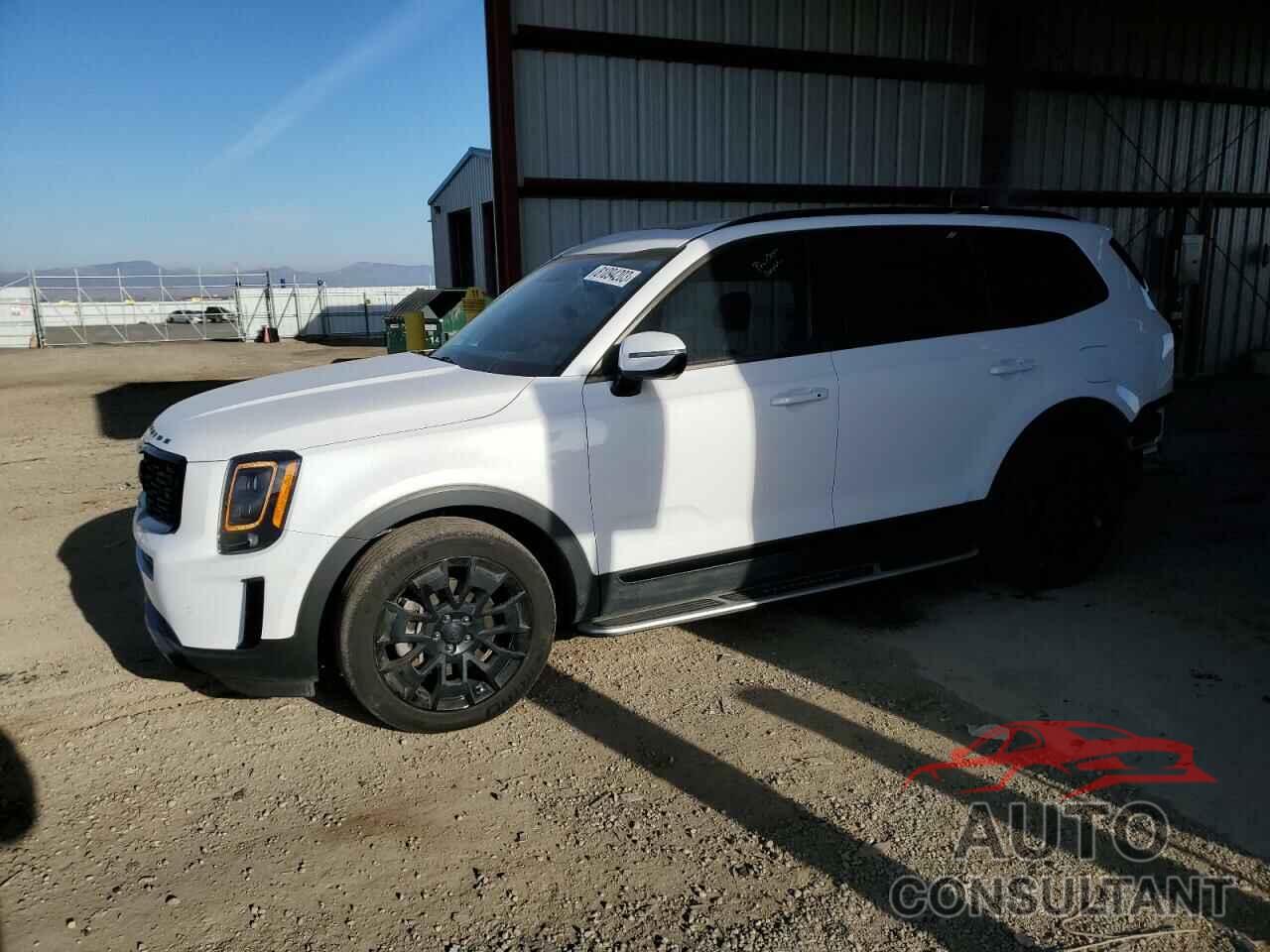 KIA TELLURIDE 2021 - 5XYP5DHC2MG124003