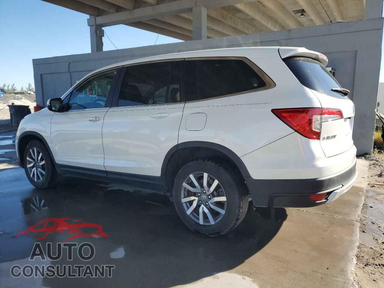 HONDA PILOT 2019 - 5FNYF5H53KB036669