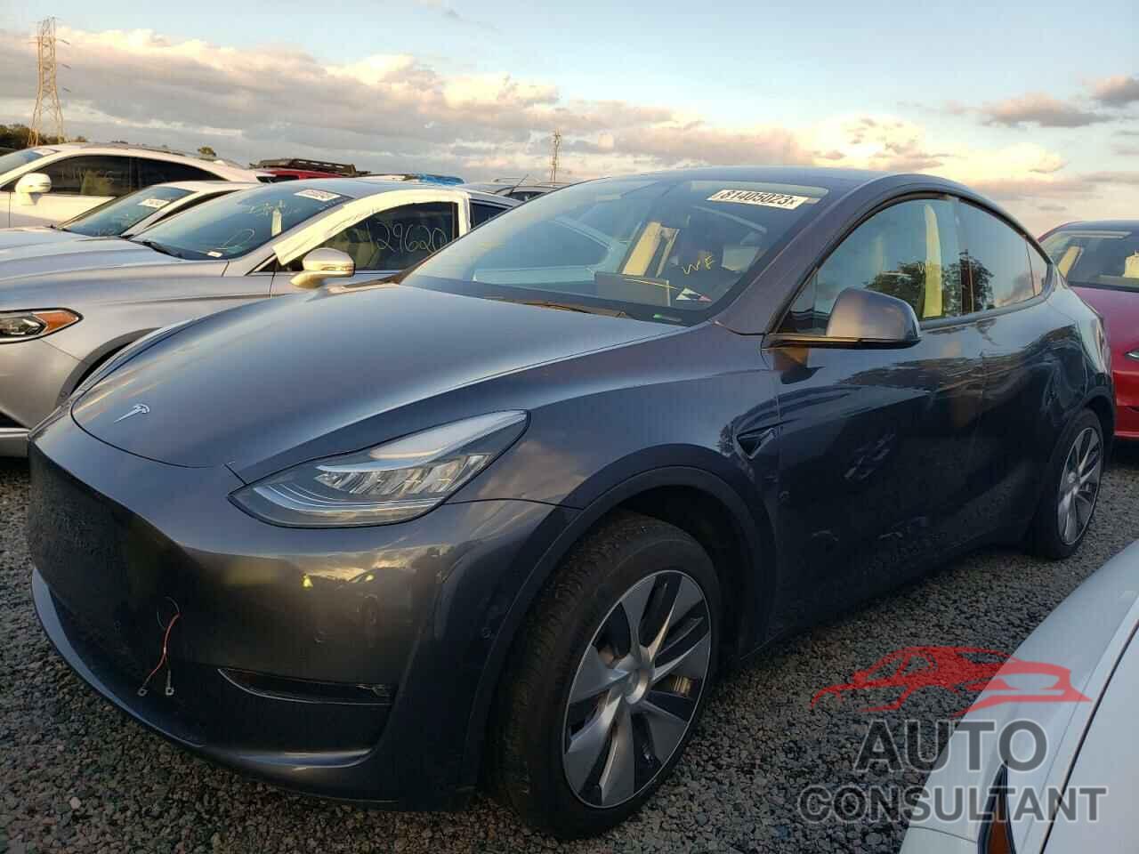 TESLA MODEL Y 2022 - 7SAYGAEE5NF316420