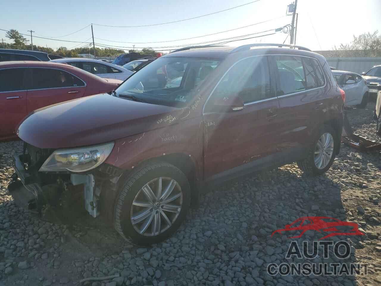 VOLKSWAGEN TIGUAN 2009 - WVGBV75N09W527307