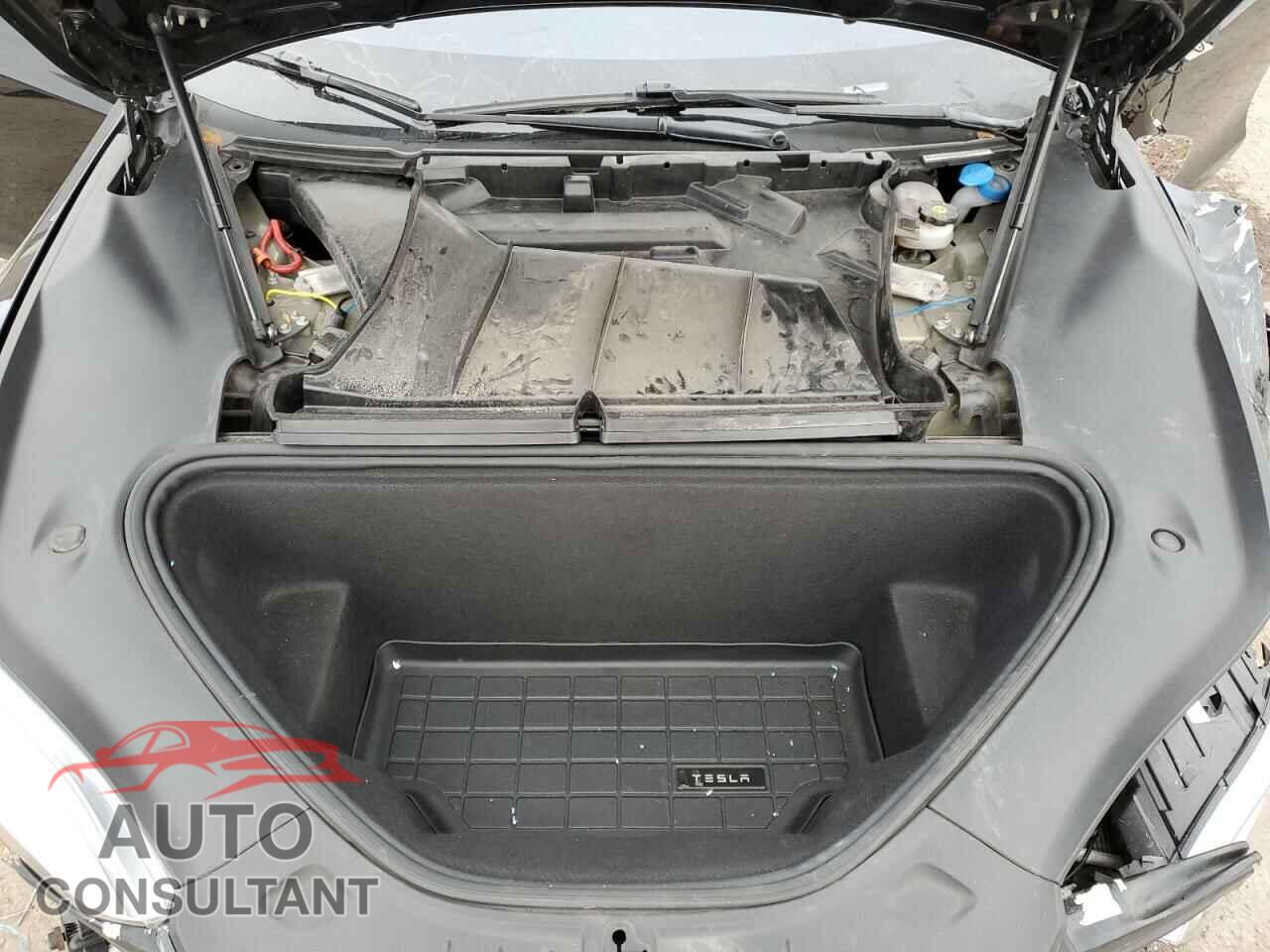 TESLA MODEL S 2019 - 5YJSA1E20KF339870