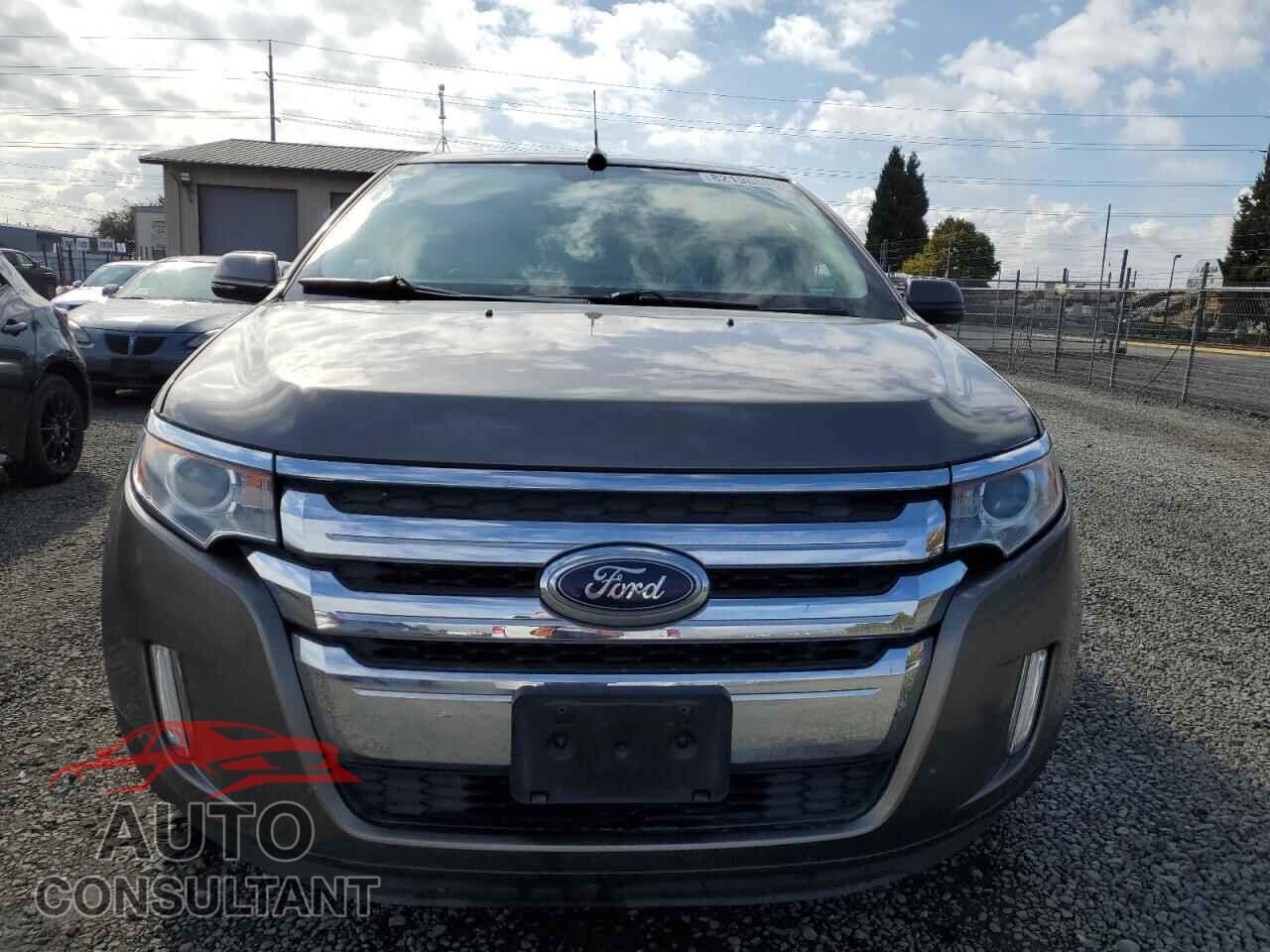 FORD EDGE 2014 - 2FMDK4KC0EBB66479