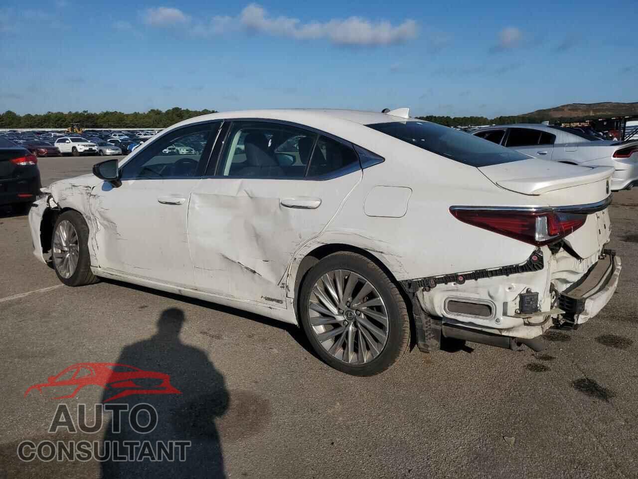 LEXUS ES300 2019 - JTHB21B16K2037753