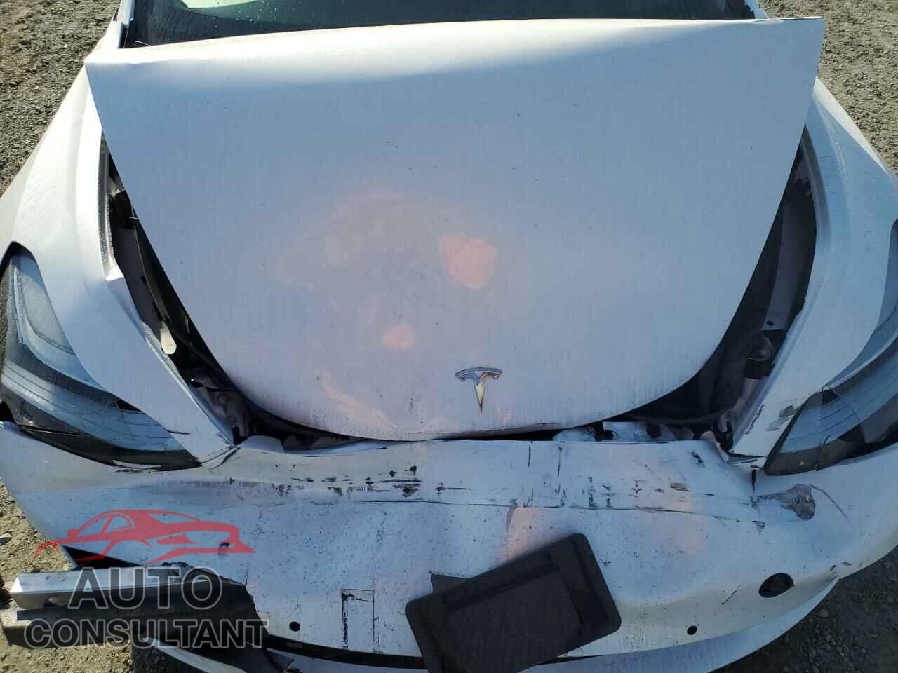TESLA MODEL 3 2019 - 5YJ3E1EA1KF476462