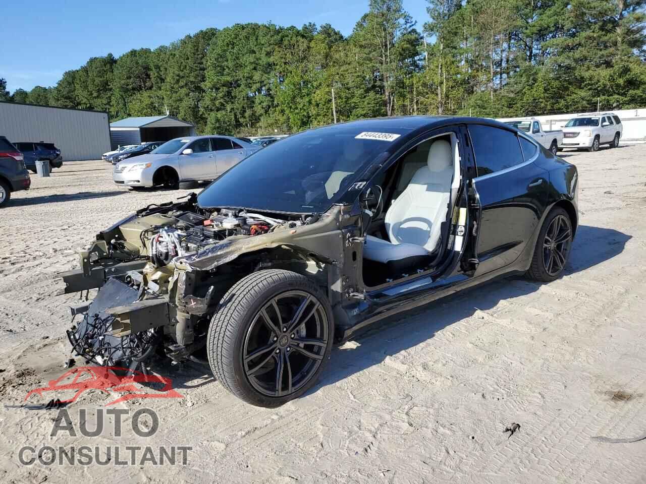 TESLA MODEL 3 2019 - 5YJ3E1EB9KF195051