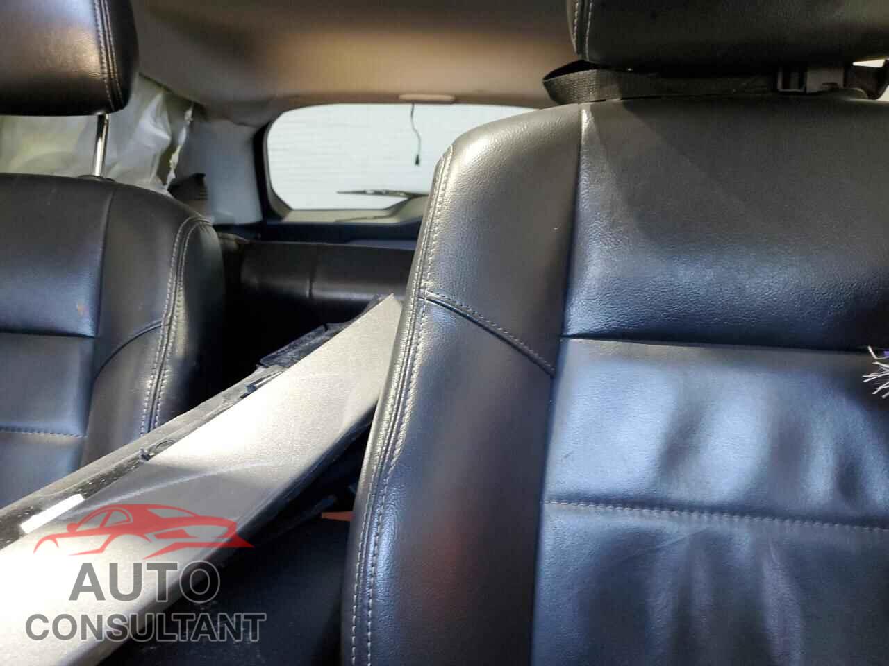 JEEP COMPASS 2011 - 1J4NT5FB6BD221840