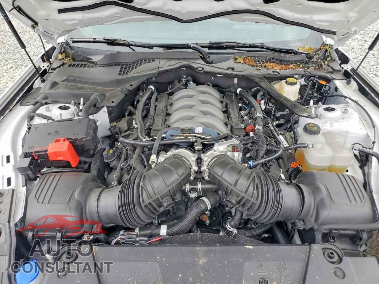 FORD MUSTANG 2025 - 1FA6P8CF7S5409614