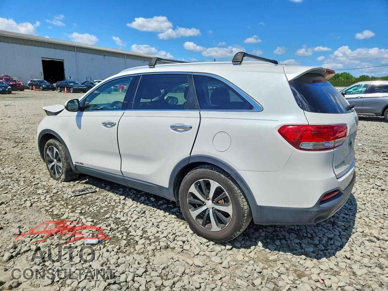 KIA SORENTO 2016 - 5XYPHDA54GG101264