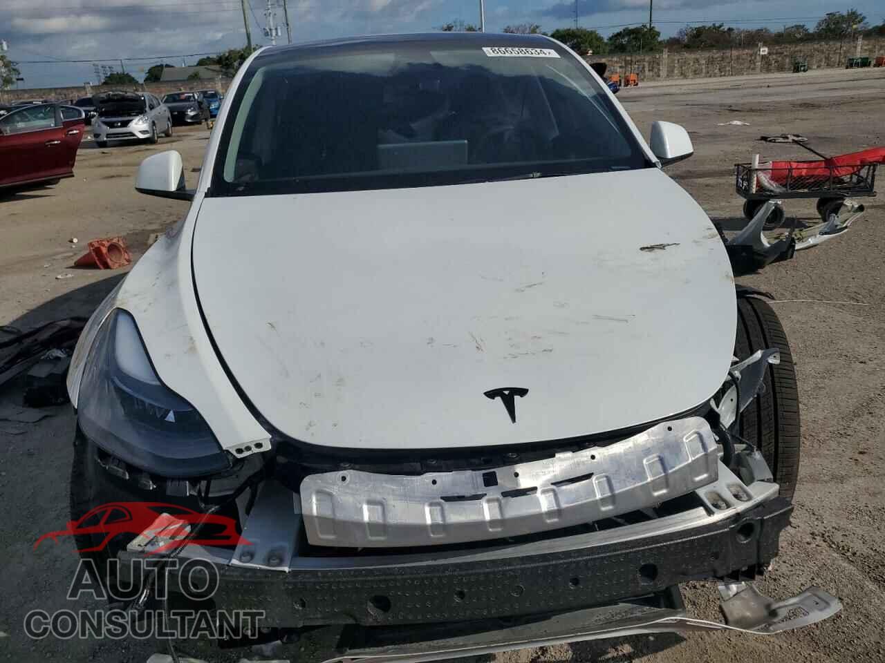 TESLA MODEL Y 2024 - 7SAYGDEE1RA282416