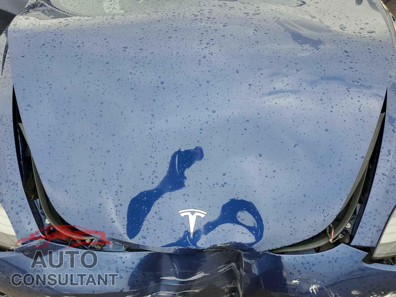 TESLA MODEL 3 2021 - 5YJ3E1EB3MF050641
