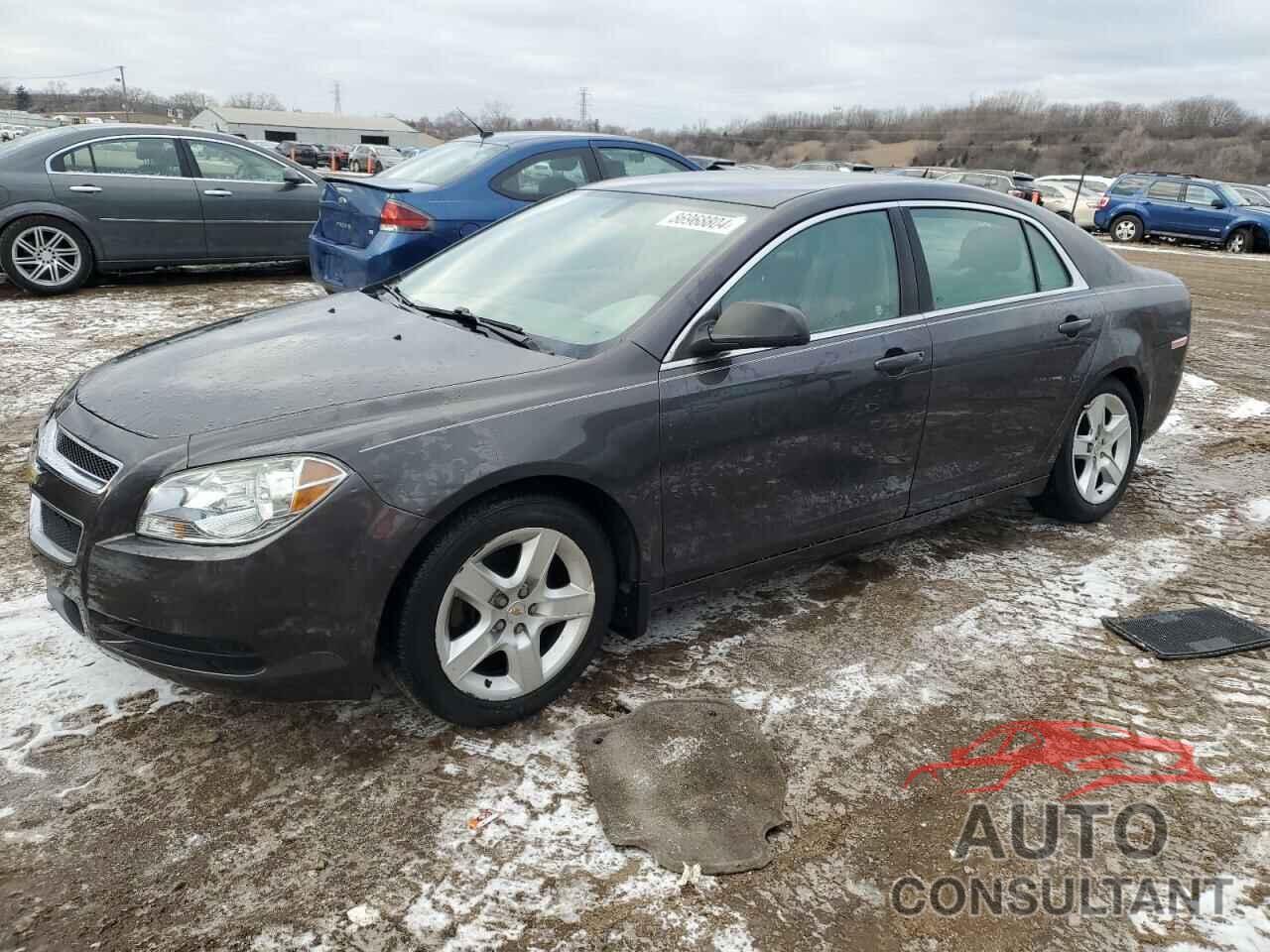 CHEVROLET MALIBU 2011 - 1G1ZB5E18BF335564